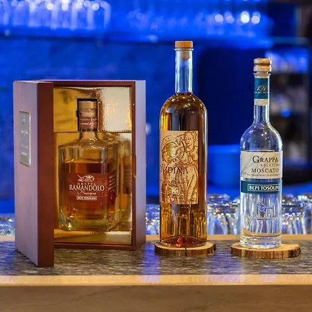 酒店 策尔内茨克劳斯酒店