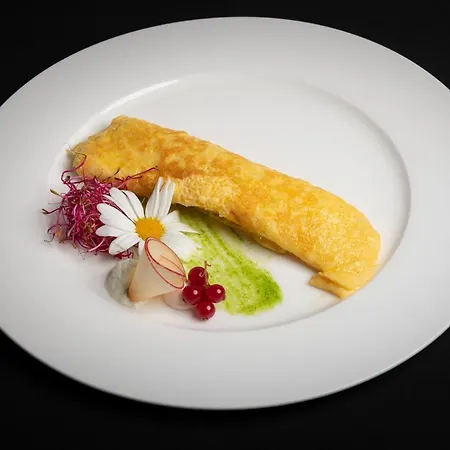 策尔内茨克劳斯酒店 酒店