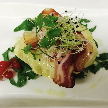 策尔内茨克劳斯酒店 酒店